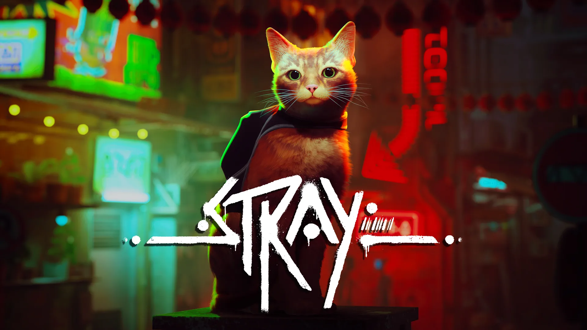 Stray jaoks on välja antud mitme mängijaga režiim.