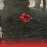 palworld: Wie erhält und verwendet man schöne Blumen?