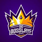 bigbosslayf twitch 終止了涉及假比特事件的廣播公司的合約！