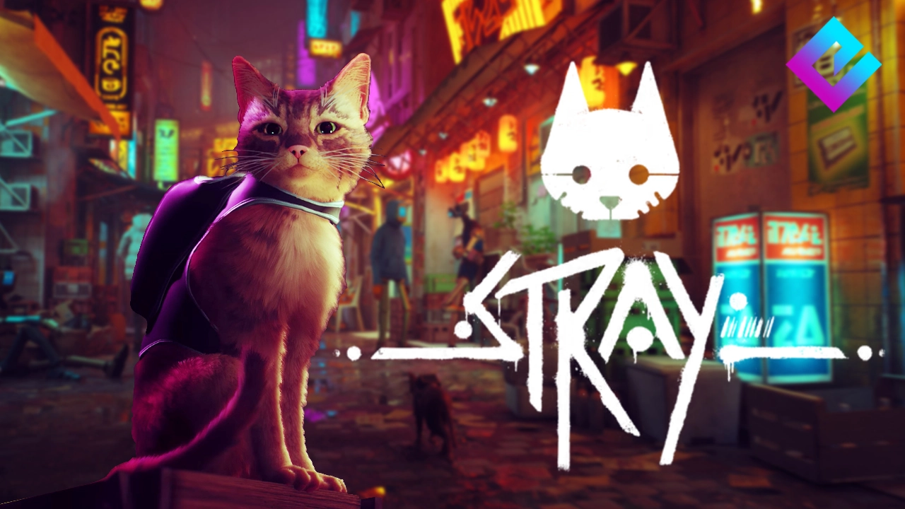 Cat Simulator Stray вийде в липні!
