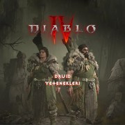Diablo IV druidae arte dux