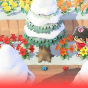 How to get animal crossing ornaments and how to use them?